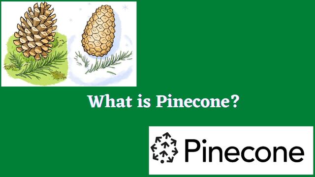 What is Pinecone