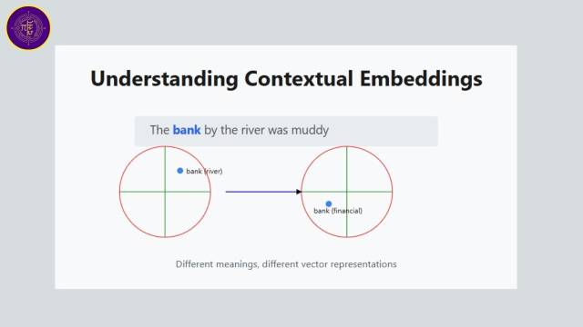 Understanding Contextual Embedding in Transformers