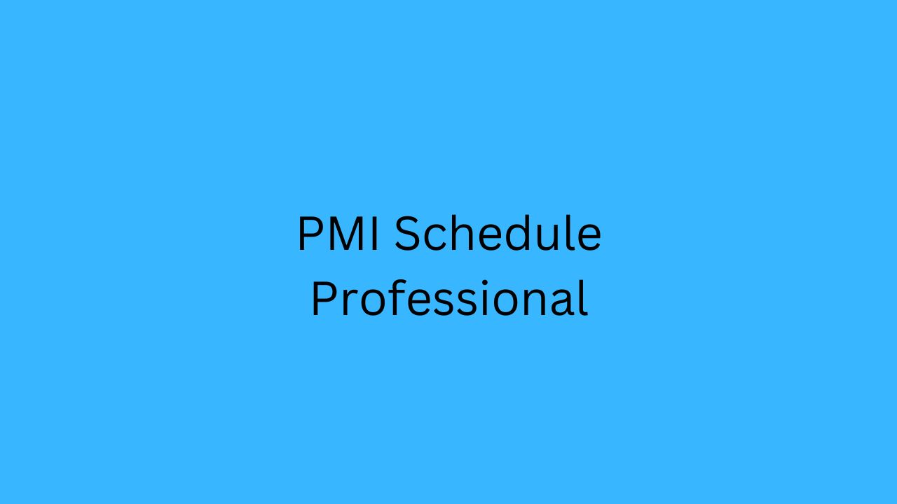 PMI SP