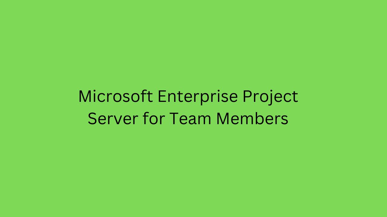 Microsoft Enterprise Project Server For Team Members