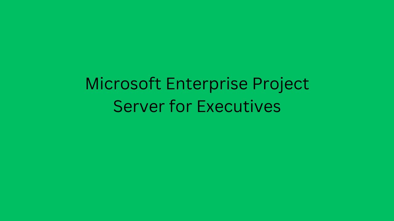 Microsoft Enterprise Project Server For Executives