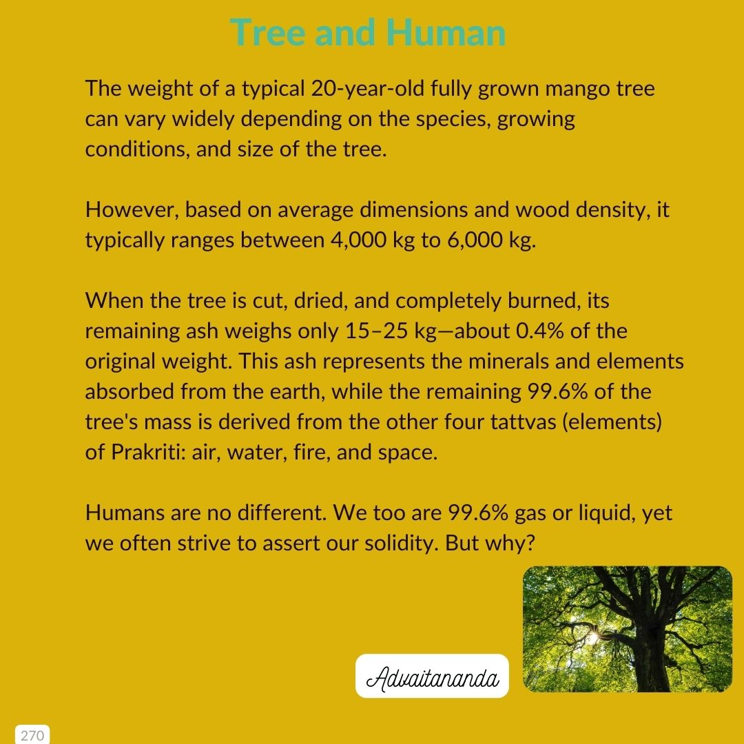 Tree and Human