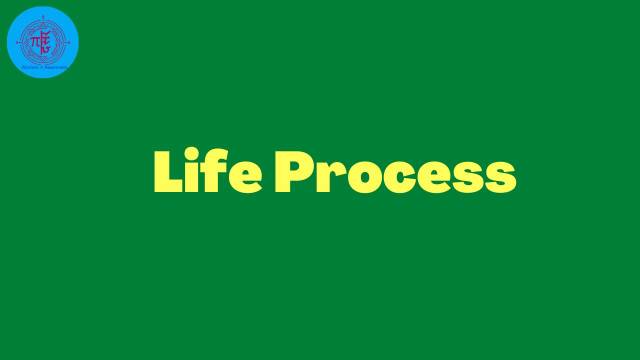 Life is a Process