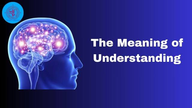 The Meaning of Understanding